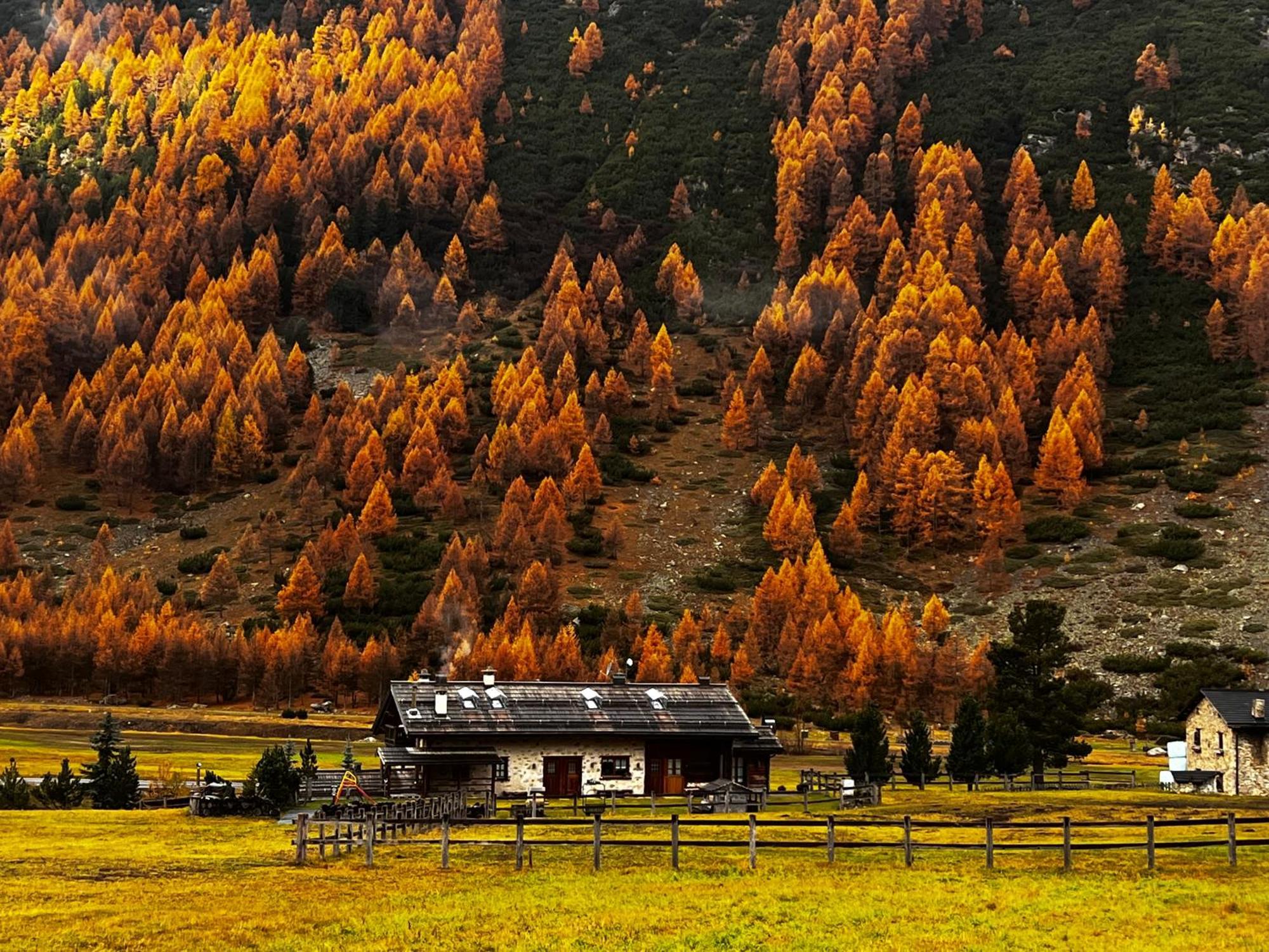 Baita Pomo Livigno Exteriör bild